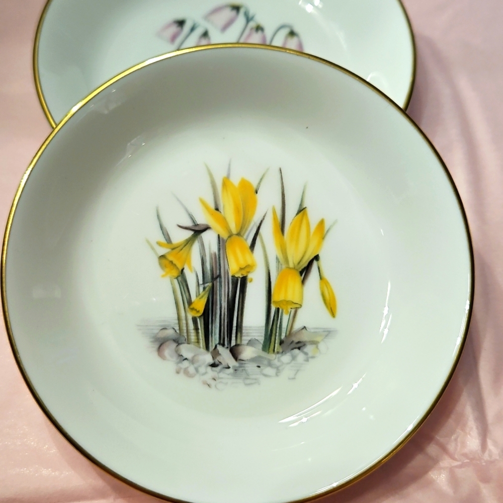 Two Butter Pats by Royal Worcester.
